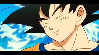 GOKU VS BROLY ESPAÑOL LATINO HD 60FPS [upl. by Barbee]