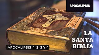 APOCALIPSIS 1 2 3 4 DÍA 320 LA SANTA BIBLIA  Audiolibro [upl. by Ernesta]