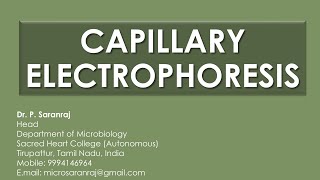 Capillary Electrophoresis CE [upl. by Iztim159]