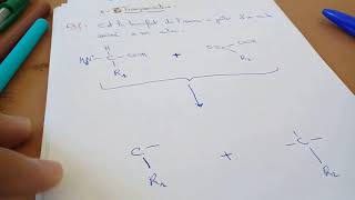 BioSnap 18  Proprietés Chimiques des Acides Aminés Transamination [upl. by Semela]