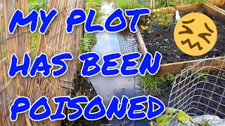 My Allotment Plot is CONTAMINATED What do I do now 🤢🤮 [upl. by Hadley]