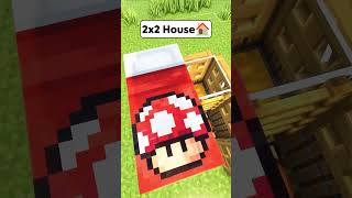 Minecraft Smallest Survival House🏠 Worlds Smallest Violin shorts minecraft [upl. by Norby554]