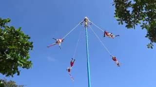 Dance of the Flyers  Danza de los Voladores  Tulum Mexico [upl. by Christye]