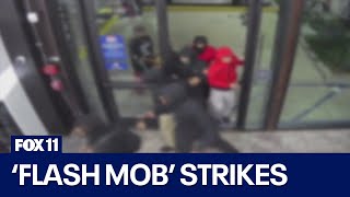 Search for more than a dozen flashmob robbers in LA [upl. by Jessy]