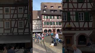 Weinheim Germany 🇩🇪  A Magical Town germanytravelguide travel weinheim germany shorts [upl. by Wolpert]