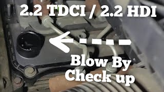 22 tdci  22 HDI Transit Boxer blow by on cold and warm engine [upl. by Inal]