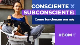 Consciente X Subconsciente como funciona em nós  Rosina Cammarota [upl. by Aran130]