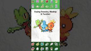 Fusing Treecko Mudkip amp Torchic pokemon pokemonfusion art pixelart treecko mudkip torchic [upl. by Cirre864]