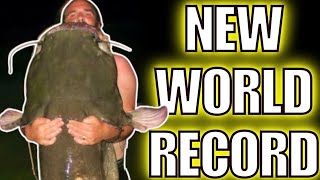 New Flathead Catfish WORLD RECORD [upl. by Kuth562]