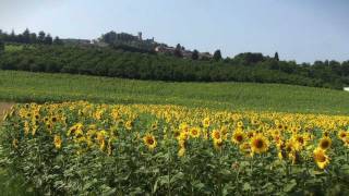 Unione di Comuni di Langa e Barolo Il FILM [upl. by Carree18]