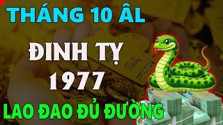 Tử vi tuổi ĐINH TỴ 1977 tháng 10 âm lịch LAO ĐAO HAO HỤT ĐỦ ĐƯỜNG [upl. by Einon]