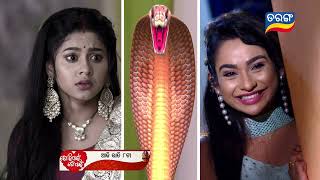 Tori Pain To Pain  13th March 2024  Episodic Promo253  Tarang TV  Tarang Plus [upl. by Atekin184]