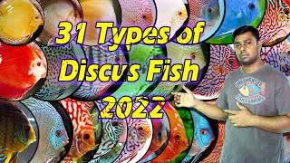 31 Types of Discus Fish 2022  Famous Discus Fish Variety in the World [upl. by Cita]