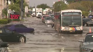 Broward Boulevard flooded day after heavy rain [upl. by Lough]