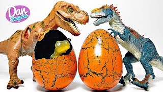 HATCHING NEW DINOSAUR EGGS WITH JURASSIC DINOSAURS [upl. by Cullin125]