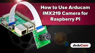 Tutorial How to Use Arducam IMX219 Camera for Raspberry Pi [upl. by Snebur55]