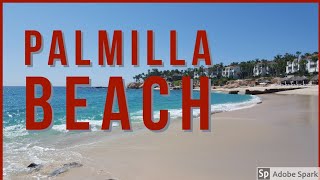 Palmilla Beach Los Cabos [upl. by Asillem]