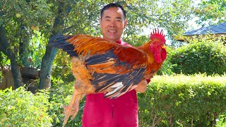 World Most Flavorful Chicken Recipe HUGE Rooster Fried with Rich Side Dishes  Uncle Rural Gourmet [upl. by Riobard]