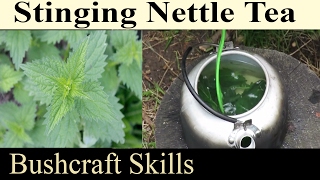 How To Make Stinging Nettle Tea  High Nutritious Herbal Drink For Bushcraft Prepping And Survival [upl. by Revert]