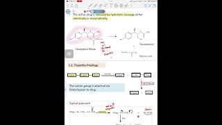 Organic chemistry Lec 2 part 2  Prodrug of functional groups [upl. by Robert]