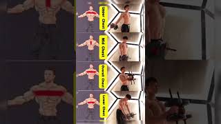 The most effective method of chest workout chest chestworkout beginnerworkout workoutfromhome f [upl. by Celik36]