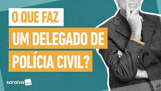 O que faz um DELEGADO DA POLÃCIA CIVIL [upl. by Amol282]