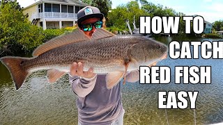 How To Catch Redfish In The Spring Fishing Tampa Bay Florida [upl. by Kirby]