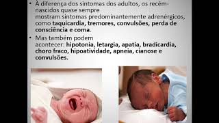 Aula 4 2º TRI Hipoglicemia Neonatal [upl. by Ajiam]