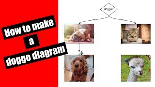 How to make a Doggo or Catto Diagram [upl. by Curr]