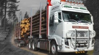 Timber truck loading  Sweden [upl. by Khalin90]