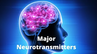 What Are the 7 Major Neurotransmitters and Their Role in Diseases [upl. by Adnirb]