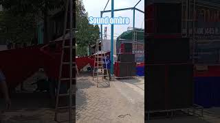 Sound ombro gaes [upl. by Nahamas]