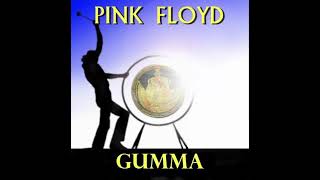 Pink Floyd  Umma amp Gumma 1968  1972 [upl. by Dez]