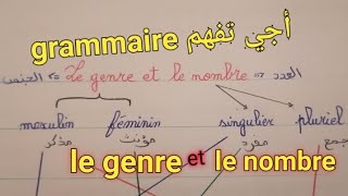 la grammaire  le genre et le nombre [upl. by Cristi]