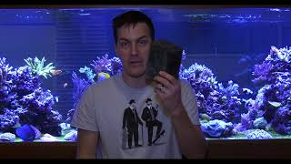 Why Your Fish Quarantine Tank Doesnt Have To Be Up 247 Mr Saltwater Tank Friday AM Quick Tip [upl. by Haimarej]