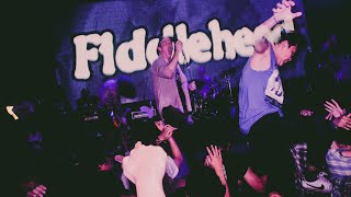 LIVE Fiddlehead  Down University live in Jakarta Toba dream 2072023 [upl. by Luapnaej623]