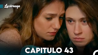 Luciérnaga Capitulo 43 Doblado en Español FULL HD [upl. by Thin605]