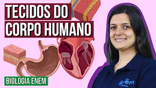 TECIDOS DO CORPO HUMANO  Resumo de Biologia Enem Professora Cláudia Aguiar [upl. by Acinorahs]