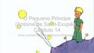 O Pequeno Príncipe  Capítulo 14 [upl. by Hadleigh]