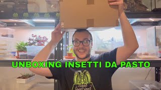 UNBOXING INSETTI DA PASTO [upl. by Ranson]