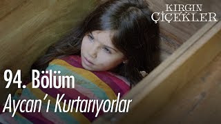 Aycanı kurtarıyorlar  Kırgın Çiçekler 94 Bölüm [upl. by Hcab]