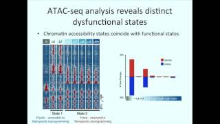 Decoding Epigenetic programs governing tumor specific T cell dysfunction  Christina Leslie [upl. by Idorb177]