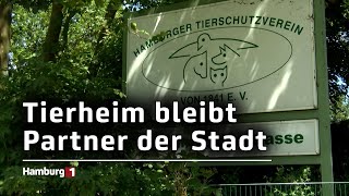 Zusammenarbeit gerettet Tierheim und Stadt verlängern wohl ihren Vertrag [upl. by Alita]