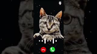 Best Tone Abe Yaar Ak Aur Message Tone  SMS Ringtone  Notification Ringtone  ringtone shorts [upl. by Annavoeg353]