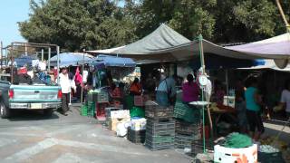 Xoxocotla  Crossing a Selfruled Mexican Village [upl. by Inar171]