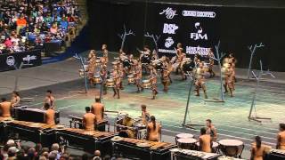 RCC Indoor Percussion  WGI Finals 2015 [upl. by Aliakam]