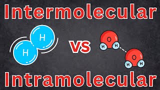 Intramolecular And Intermolecular Forces Chemistry Chemical Bonds High School Chemistry [upl. by Magnien]