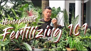 All you need to know about fertilizing houseplants [upl. by Tattan]