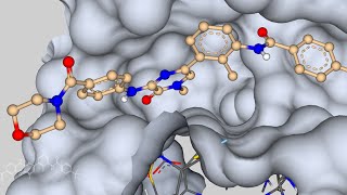 webinar recording Brutons Tyrosine Kinase inhibitors two strategies showcased in SeeSAR [upl. by Derfiniw]