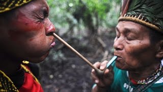 Making First Contact with the Tribal People of the Amazon Full Documentary [upl. by Wiseman694]